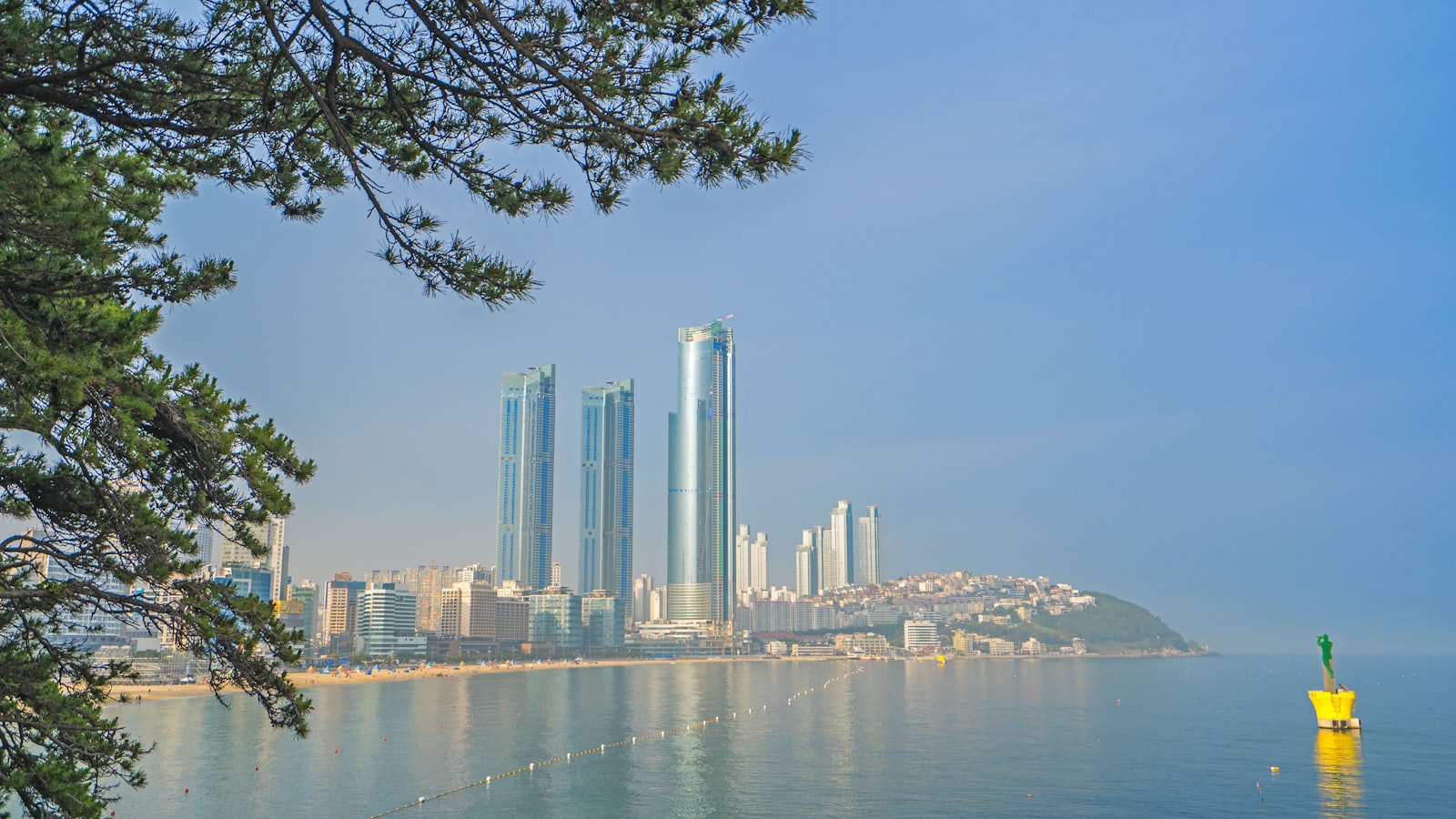 busan 지역 이미지