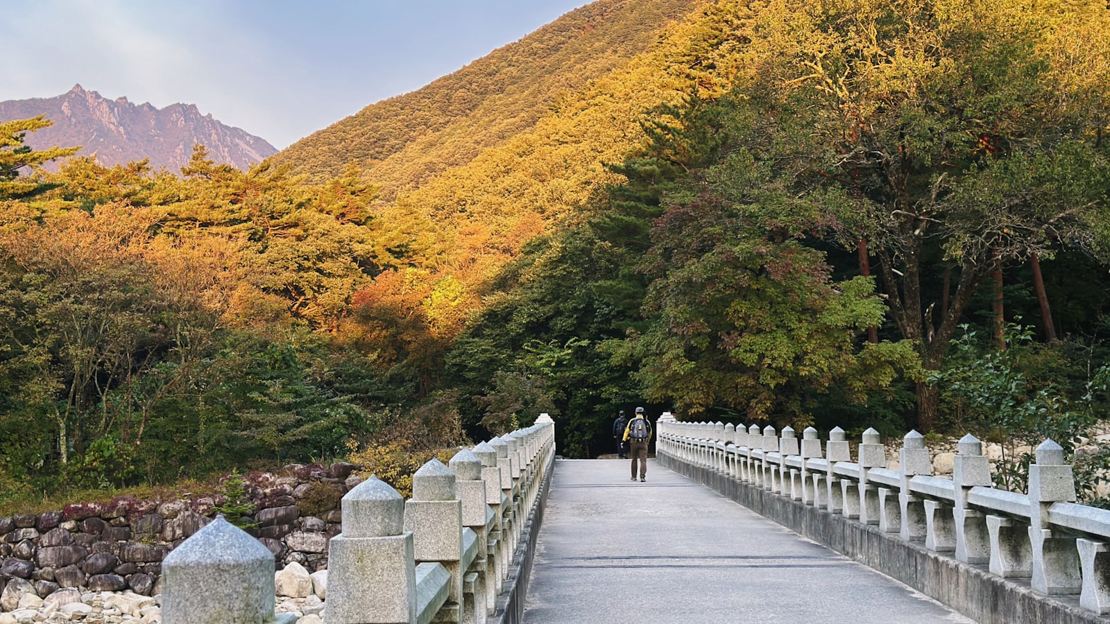 gangwon 지역 이미지