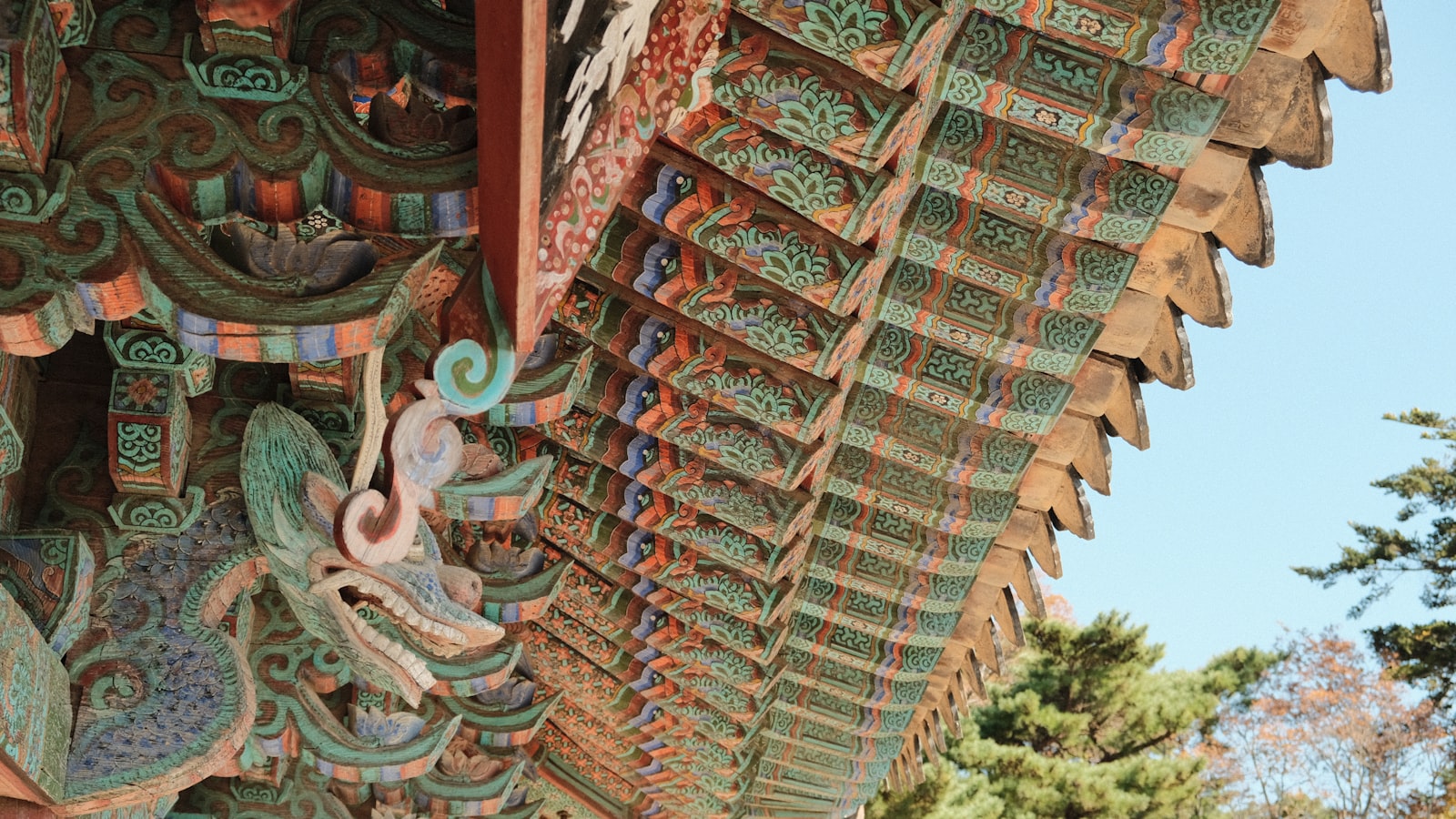 gyeongbuk 지역 이미지