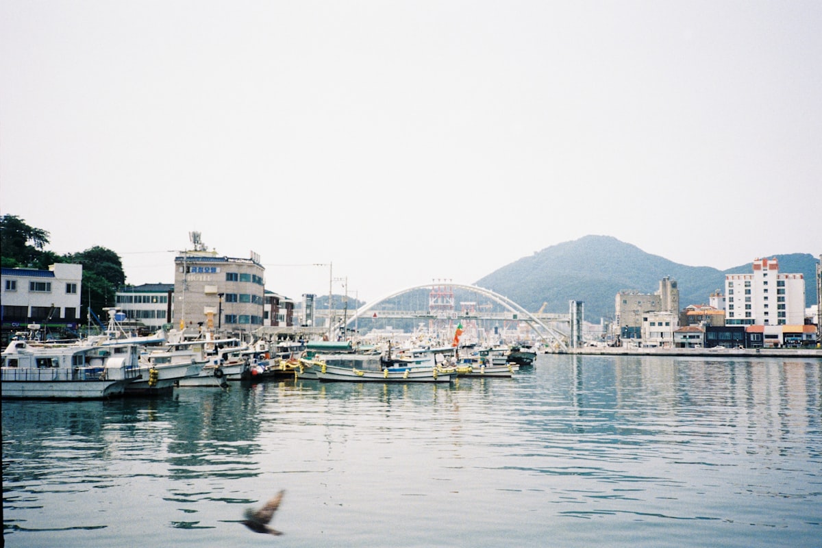 gyeongnam 지역 이미지